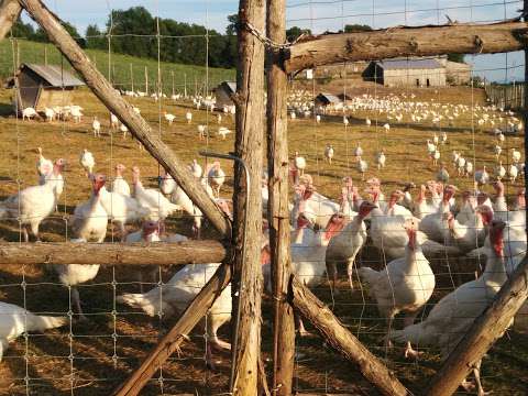 Viandes Biologiques de Charlevoix